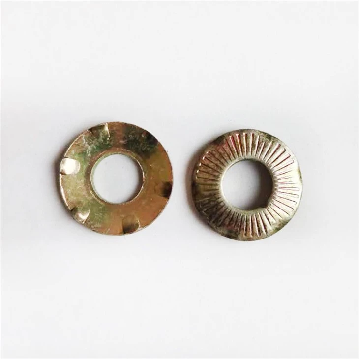 contact washer (2)